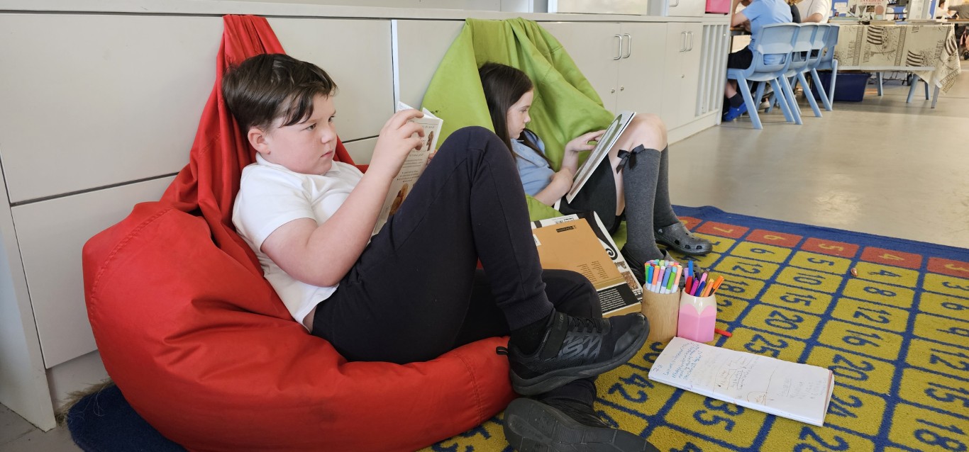 Mossvale Primary School receives top marks in recent inspection